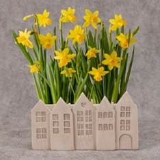 Spring Narcissi Houses                                                                                                          