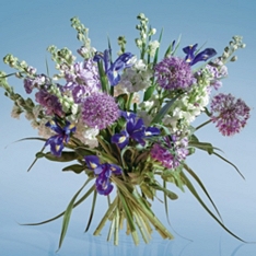 British Purple Stocks & Iris Bouquet                                                                                            