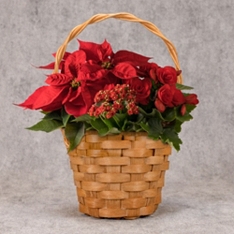 Red Christmas Gift Basket                                                                                                       