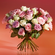 Abundance of Pastel Roses                                                                                                       