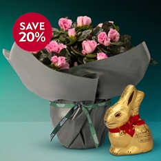 The Gift-Wrapped Blush-Pink Azalea & Lindt Gold Bunny                                                                           