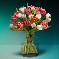 Specialty Tulips: Flouncy & Fabulous                                                                                            